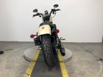 2021 Harley-Davidson XL883N - Iron 883