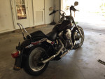1999 Harley Davidson soft tail