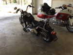 1999 Harley Davidson soft tail