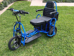 2 Seater Electric Scooter/Cart Alternative