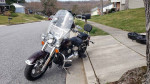 2007 Heritage Softail® Classic
