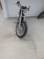 2009 HD Sportster 883