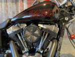 2015 HARLEY DAVIDSON DYNA LOW RIDER FXDL
