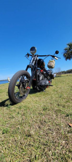 Custom Sportster Bobber