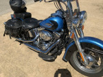 Harley Softtail
