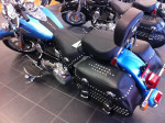 Harley Softtail