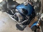 Harley Softtail