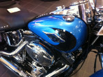 Harley Softtail
