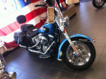 Harley Softtail