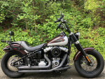 2021 Harley-Davidson Softail FLSL - Slim V Twin 1746