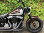 2021 Harley-Davidson Softail FLSL - Slim V Twin 1746