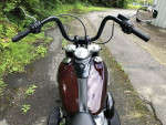 2021 Harley-Davidson Softail FLSL - Slim V Twin 1746
