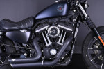 2020 Harley-Davidson XL883N - Sportster Iron 883