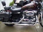 Harley Sportsters