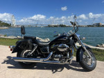 2003 Honda Shadow