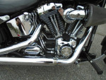 2010 Harley-Davidson Softail Custom Custom