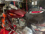 1985 Harley Davidson Evo Low Glide