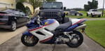 2007 intercepter