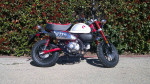 2024 Honda® Monkey