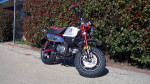 2024 Honda® Monkey