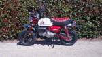 2024 Honda® Monkey