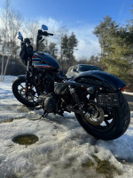 2020 Harley-Davidson Sportster IRON 1200