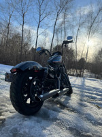 2020 Harley-Davidson Sportster IRON 1200
