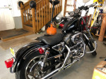 SPORTSTER HARLEY DAVIDSON