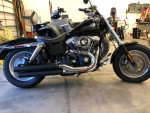 2010 harley fatbob
