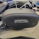 2012 Harley Dyna Custom