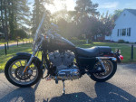 2007 Harley Davidson Sportster 883 Low
