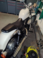2010 Honda Shadow R/S
