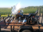 1996 Harley Davidson FXSTC