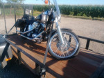 1996 Harley Davidson FXSTC
