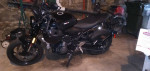 2022 Triumph Trident 660