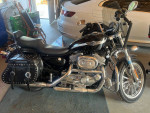Harley 03 Anniversary