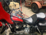 Harley Davidson for sale