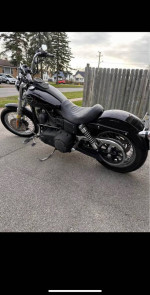 2008 Harley Davidson Street Bob
