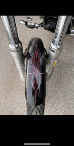 2008 Harley Davidson Street Bob