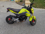 2017 Honda Grom