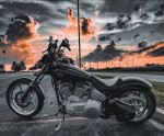 Harley Softail Rocker