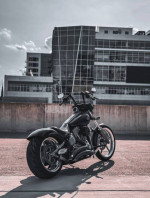Harley Softail Rocker