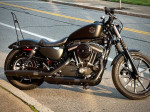 2020 Harley-Davidson iron 883 sportster