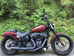 2020 Harley-Davidson Softail FXBB - Street Bob V Twin 1746