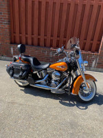 2016 Harley Davidson Motorcycle