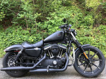2021 Harley-Davidson Sportster XL883N - Iron 883 V Twin 883