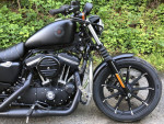 2021 Harley-Davidson Sportster XL883N - Iron 883 V Twin 883