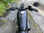 2021 Harley-Davidson Sportster XL883N - Iron 883 V Twin 883