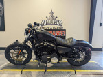 2022 Harley-Davidson® XL883N - Iron 883