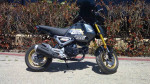 2024 Honda® Grom